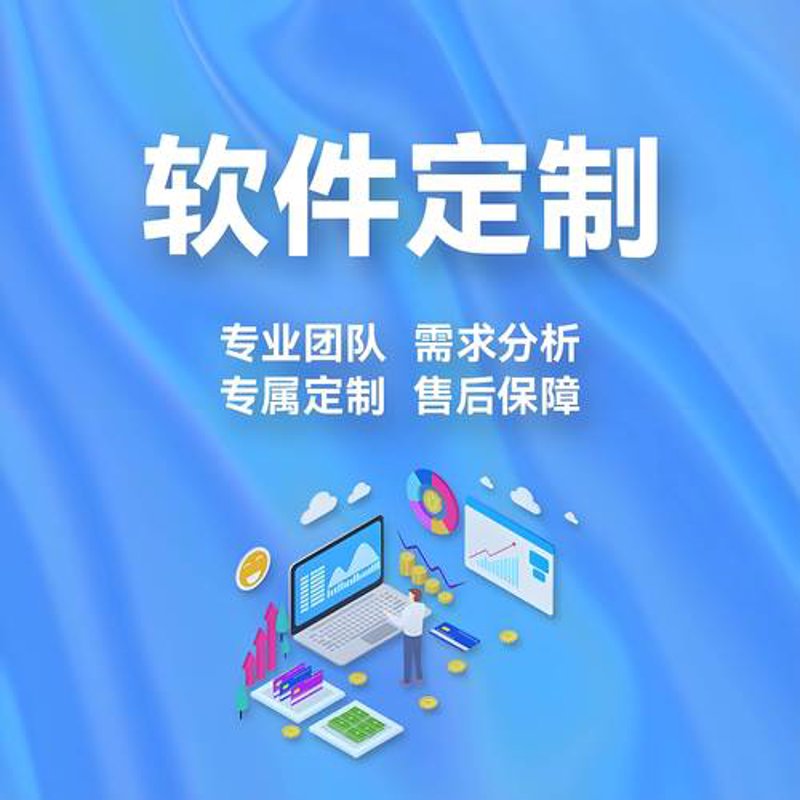 上海软件定制开发：构建企业数字化升级引擎